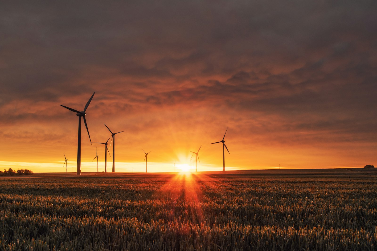 Utility-scale renewable energy infrastructure delivering 605 MW across Southern Africa